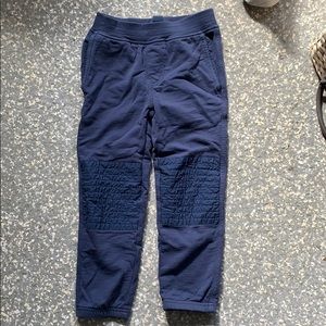 Like new tea collection pants size 5